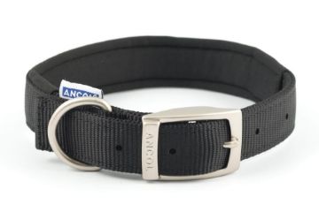 Picture of Ancol Viva Padded Nylon Buckle Collar Black S/M 35-43cm Size 4 x 1