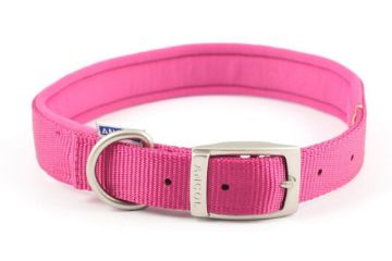 Picture of Ancol Viva Padded Nylon Buckle Collar Pink L 45-54cm Size 6 x 1