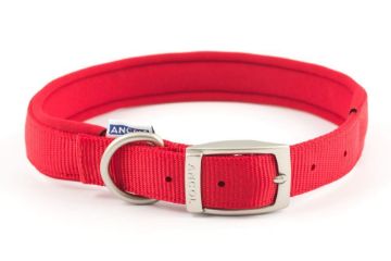 Picture of Ancol Viva Padded Nylon Buckle Collar Red L 45-54cm Size 6 x 1