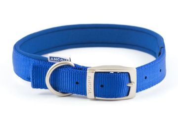 Picture of Ancol Viva Padded Nylon Buckle Collar Blue XL 50-59cm Size 7 x 1