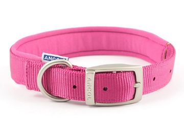 Picture of Ancol Viva Padded Nylon Buckle Collar Pink XXL 55-63cm Size 8 x 1