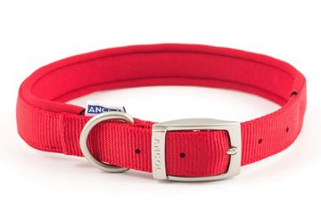 Picture of Ancol Viva Padded Nylon Buckle Collar Red XXL 55-63cm Size 8 x 1