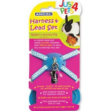 Picture of Ancol Rabbit Harness & Lead Set Blue x 1