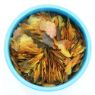 Picture of Aquarian Tropical & Temperate Flake Fish Food 25g x 12