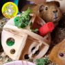 Picture of Ancol Wooden Roll 'N' Chew Plain Wood x 1