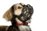 Picture of Baskerville Ultra Basket Muzzle Size 1 x 1