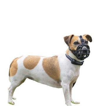 Picture of Baskerville Ultra Basket Muzzle Size 2 x 1