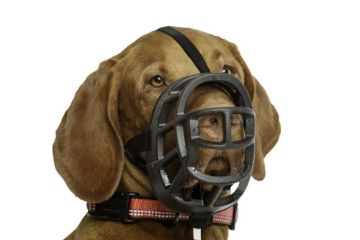 Picture of Baskerville Ultra Basket Muzzle Size 4 x 1