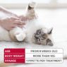Picture of Beaphar FIPROtec Cat Flea Drops 1 Tube x 1
