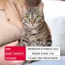 Picture of Beaphar FIPROtec COMBO Cat Spot On 3 Tube x 1