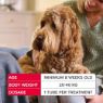 Picture of Beaphar FIPROtec COMBO Large Dog Spot On 1 Tube x 1
