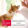 Picture of Beaphar FIPROtec COMBO Small Dog Spot On 3 Tube x 1