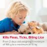 Picture of Beaphar FIPROtec Flea, Tick & Lice Spray 100ml x 1