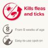 Picture of Beaphar FIPROtec Large Dog Flea Drops 1 Tube x 1
