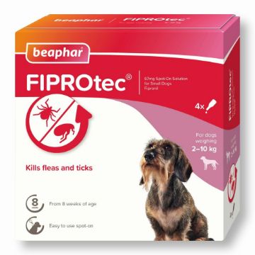 Picture of Beaphar FIPROtec Small Dog Flea Drops 4 Tube x 1