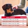 Picture of Beaphar Worm Clear Small Dog 2 tab x 1