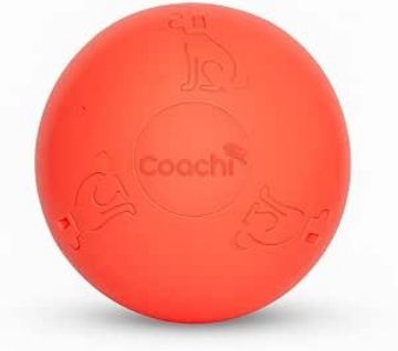Picture of Coachi Boomi Ball 4" x 1
