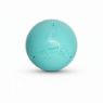 Picture of Coachi Boomi Ball 4" x 1