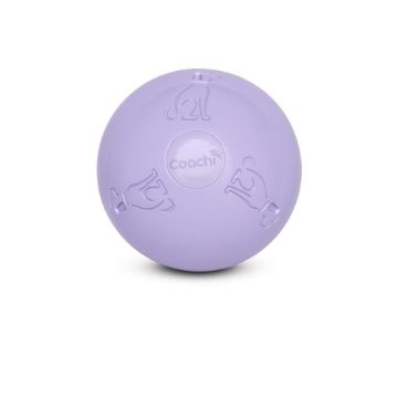 Picture of Coachi Boomi Ball 6" x 1