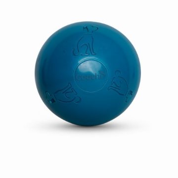 Picture of Coachi BoomI Ball 8" x 1