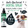 Picture of Bugalugs Anti-Bacterial Dental Spray 200ml x 1