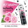 Picture of Bugalugs Baby Fresh Dry Shampoo 200ml x 1