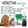 Picture of Bugalugs Dental Care Spray 200ml x 1