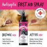 Picture of Bugalugs Antiseptic First Aid Spray 200ml x 1