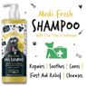 Picture of Bugalugs Medi Fresh Shampoo 500ml x 1