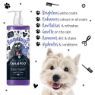 Picture of Bugalugs Maxi White Whitening Shampoo 500ml x 1