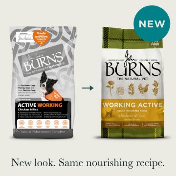 Picture of Burns Working Active Dog 12kg