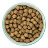 Picture of Burns Original Adult Dog Chicken & Brown Rice 6kg