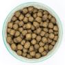 Picture of Burns Dog Alert Assistance Lamb & Brown Rice 12kg 