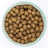 Picture of Burns Sensitive Dog Duck & Brown Rice 12kg