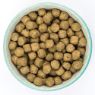Picture of Burns Original Adult Dog Fish & Brown Rice 2kg