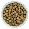 Picture of Burns Grain Free Puppy Duck & Potato 2kg