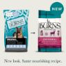 Picture of Burns Original Adult Dog Lamb & Brown Rice 2kg