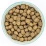 Picture of Burns Original Adult Dog Lamb & Brown Rice 2kg