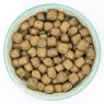 Picture of Burns Original Adult Dog Lamb & Brown Rice 6kg