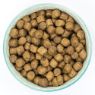 Picture of Burns Puppy Original Chicken & Rice 2kg