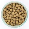 Picture of Burns Puppy Original Lamb & Rice 2kg