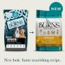 Picture of Burns Senior+ Dog Medium/Large Breed Chicken & Brown Rice 12kg
