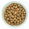 Picture of Burns Senior+ Dog Medium/Large Breed Chicken & Brown Rice 12kg