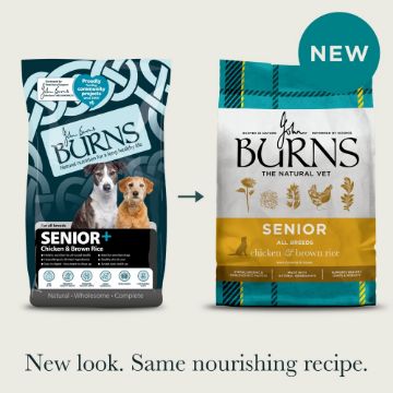Picture of Burns Senior+ Dog Medium/Large Breed Chicken & Brown Rice 2kg