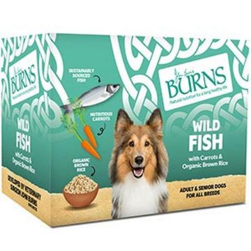 Picture of Burns Tray Adult Dog Wild Fish 395g x 8