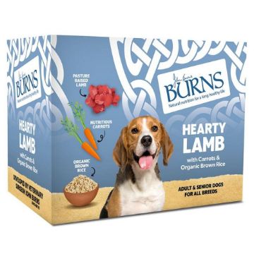 Picture of Burns Tray Adult Dog Lamb 395g x 8