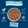 Picture of Butcher's Dog Cans Recovery & Revive 390g x 18