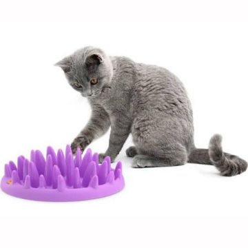 Picture of Company of Animals Catch Interactive Slow Cat Feeder x 1