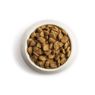 Picture of Chappie Complete Beef & Wholegrain 15kg