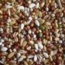 Picture of Cluckers Tip Top Condition Seed 3kg
